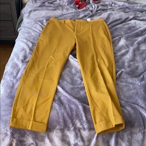 Zara Gold Trousers